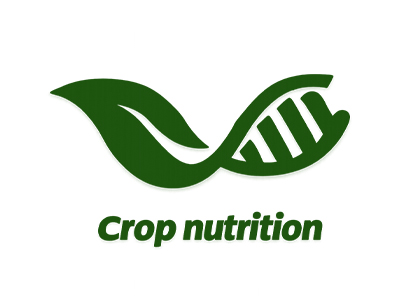 Crop nutrizion